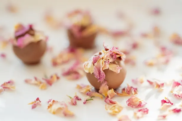 エムオーオーエヌ カジノ Android/iOS アプリ